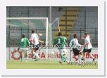 DSC_6046 avellino ternana 3-3_ridimensionare * Foto:Franco D'Addona * 726 x 500 * (130KB)
